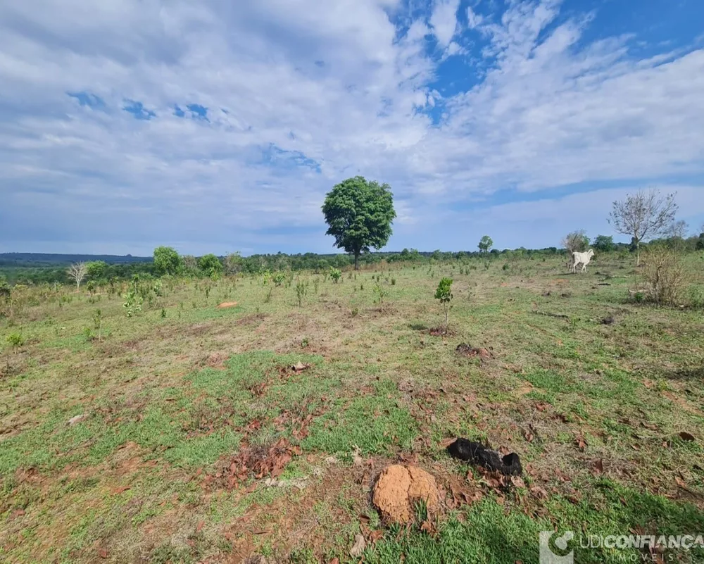 Fazenda à venda - Foto 2