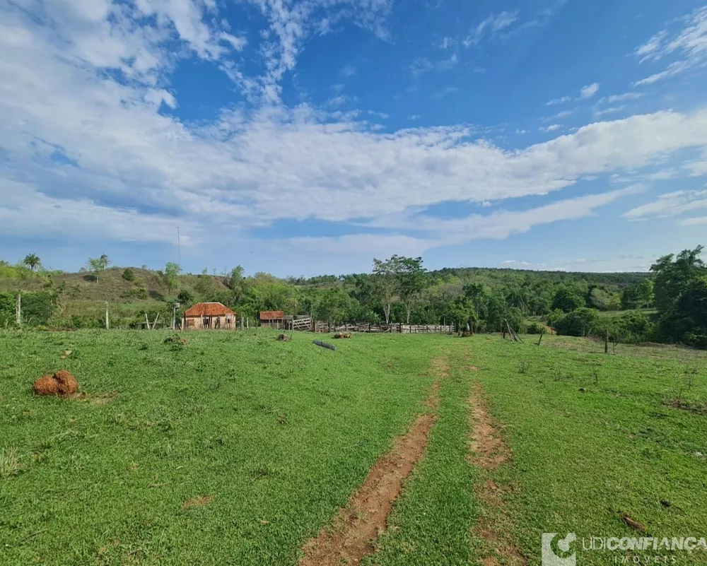 Fazenda à venda - Foto 4