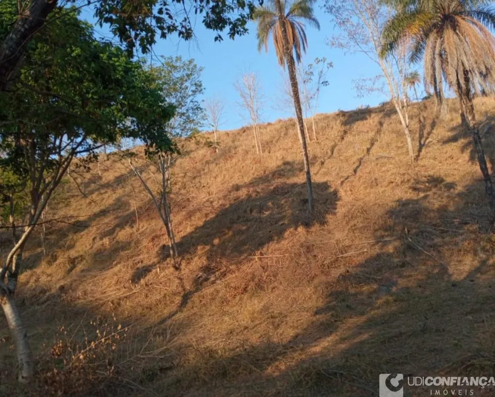Fazenda - Foto 6