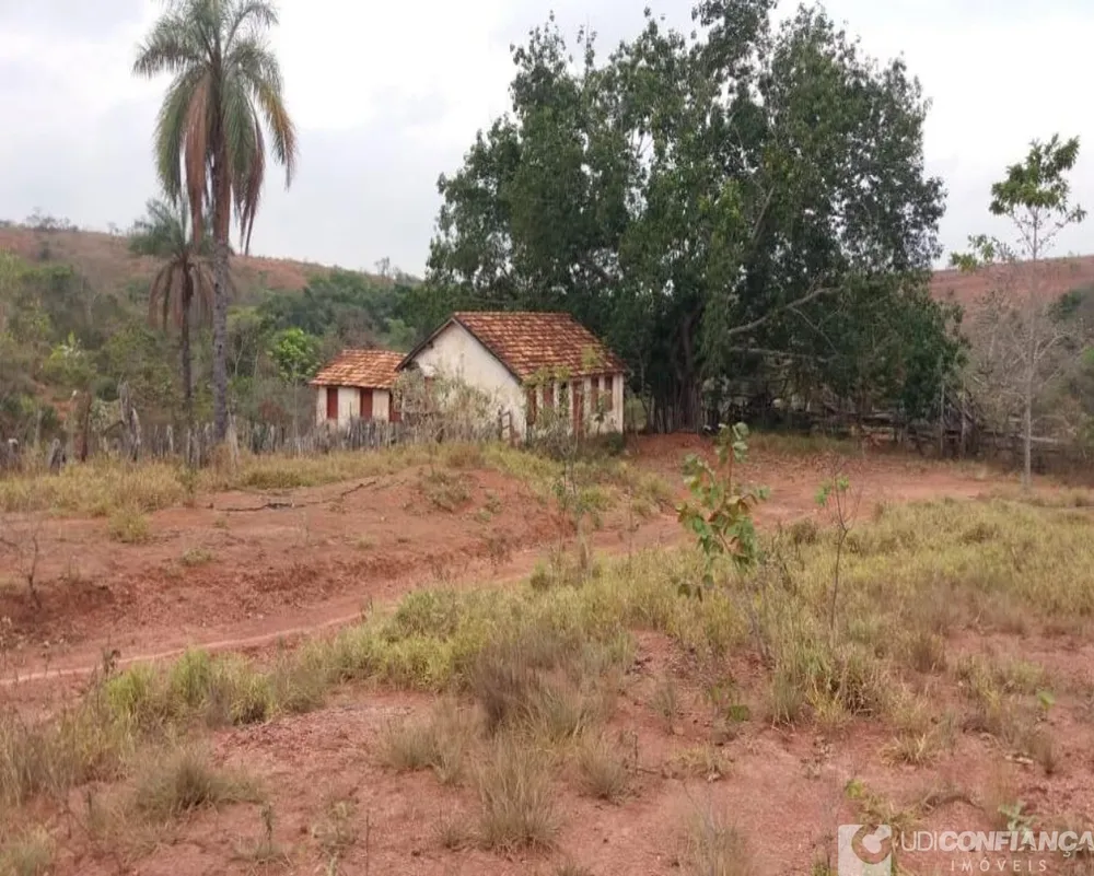 Fazenda - Foto 10