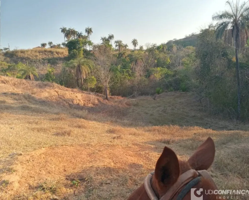 Fazenda - Foto 9
