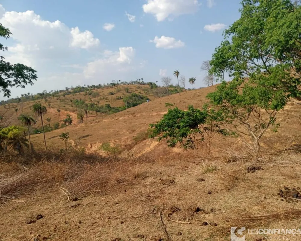 Fazenda - Foto 7