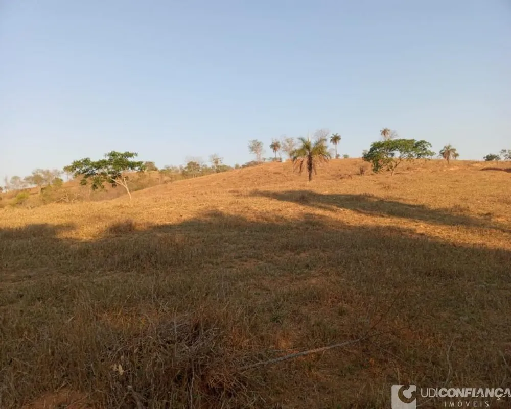 Fazenda - Foto 4