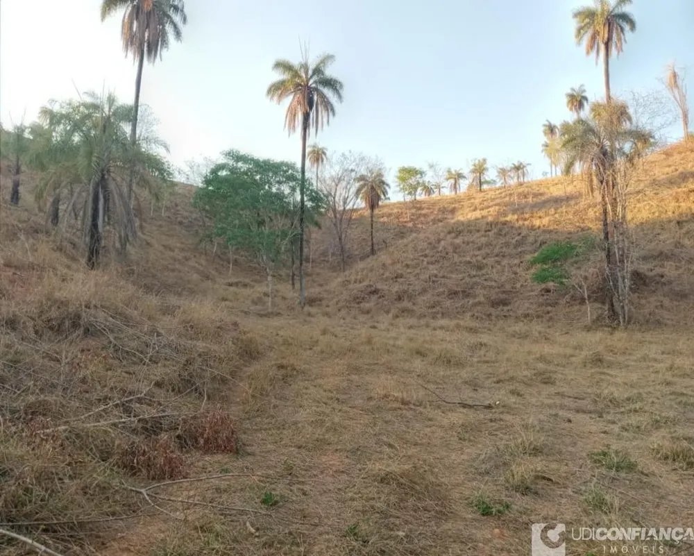 Fazenda - Foto 3