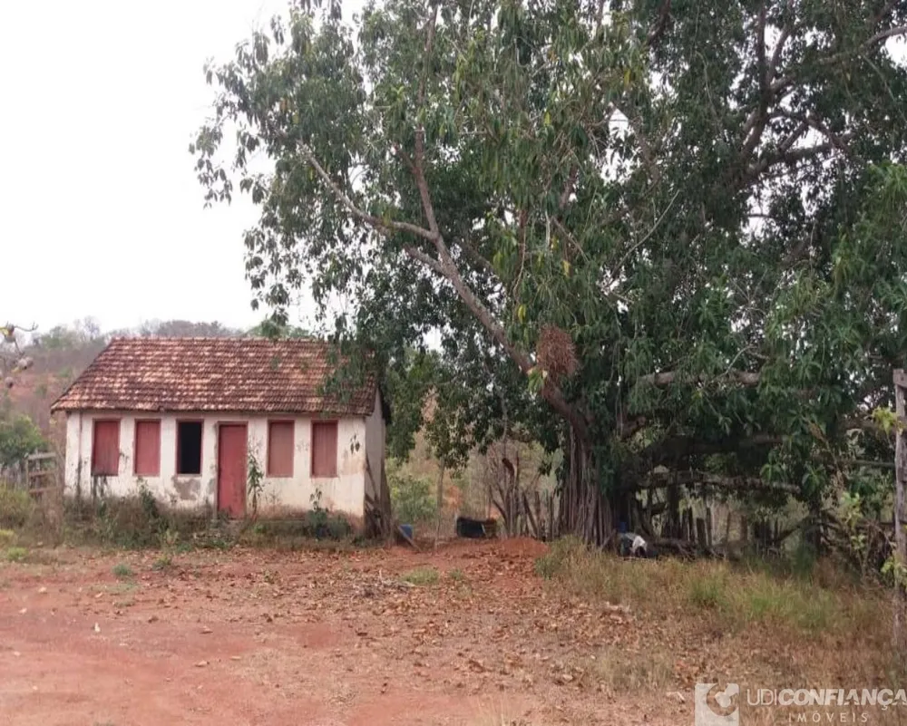 Fazenda - Foto 11