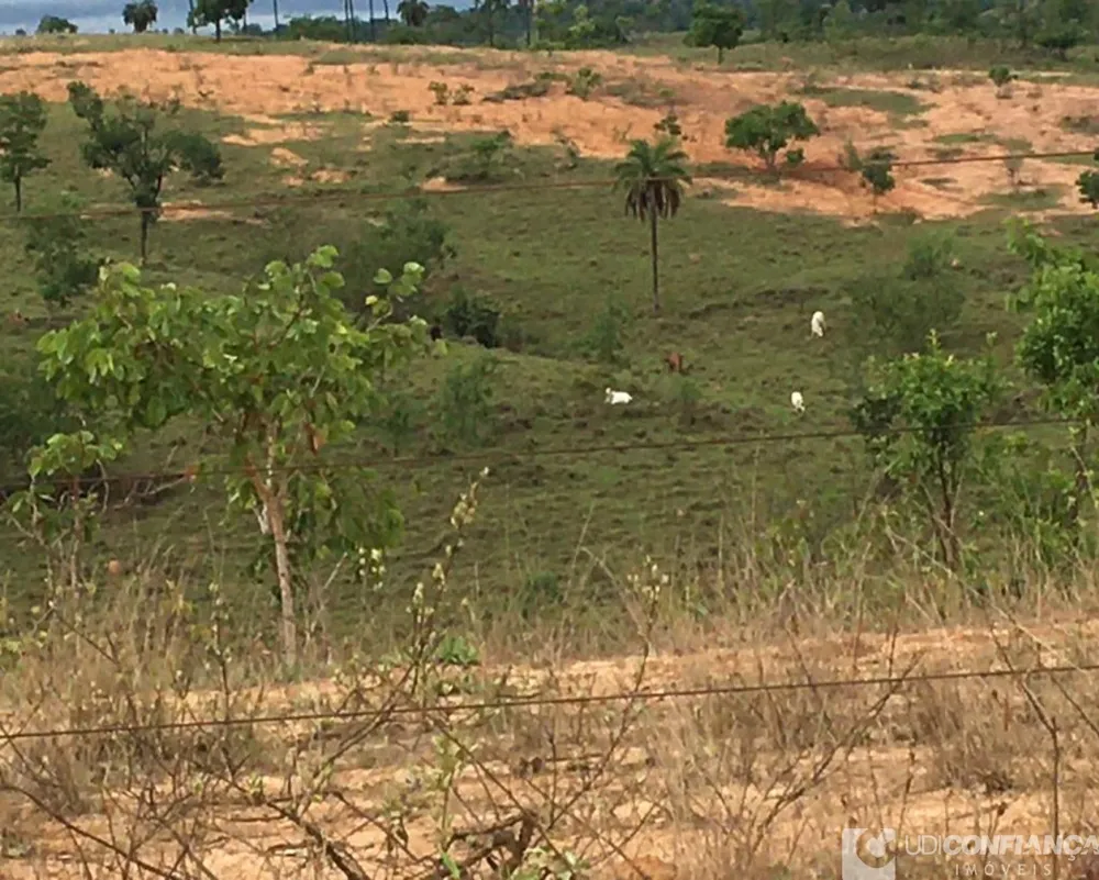 Fazenda - Foto 8