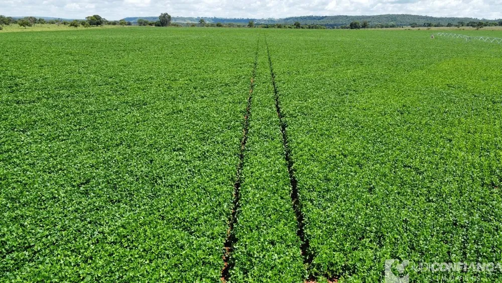 Fazenda - Foto 7