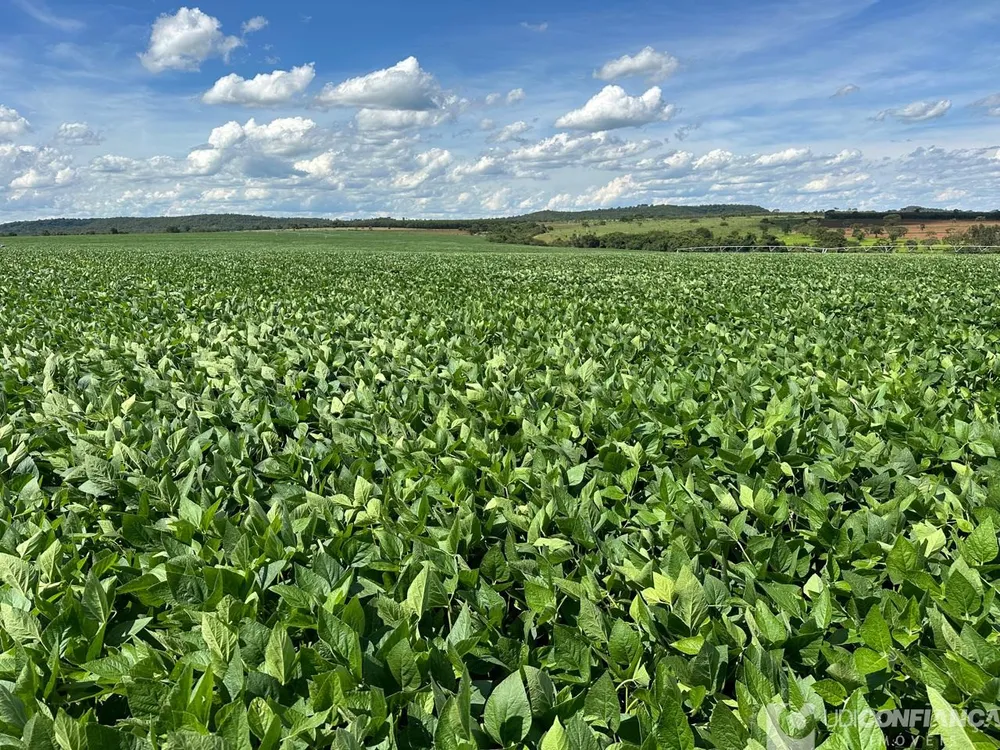 Fazenda - Foto 3