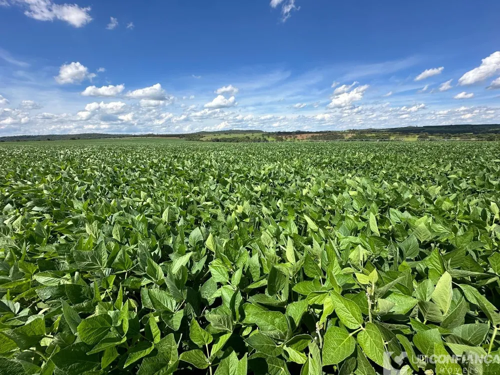 Fazenda - Foto 2