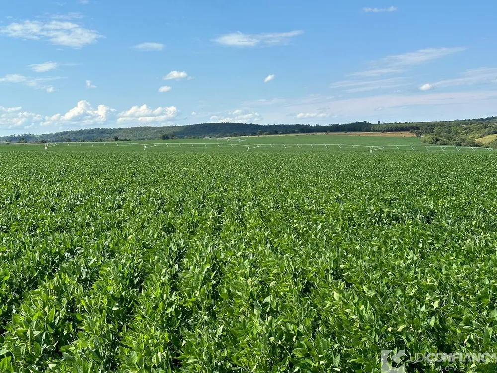 Fazenda - Foto 4