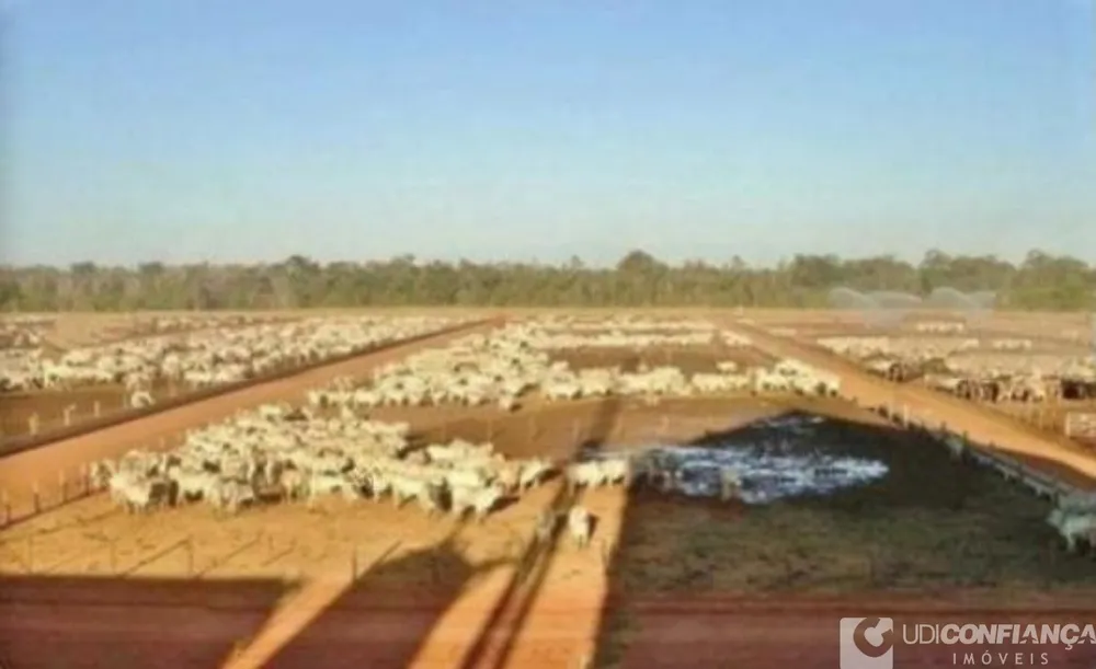 Fazenda - Foto 1