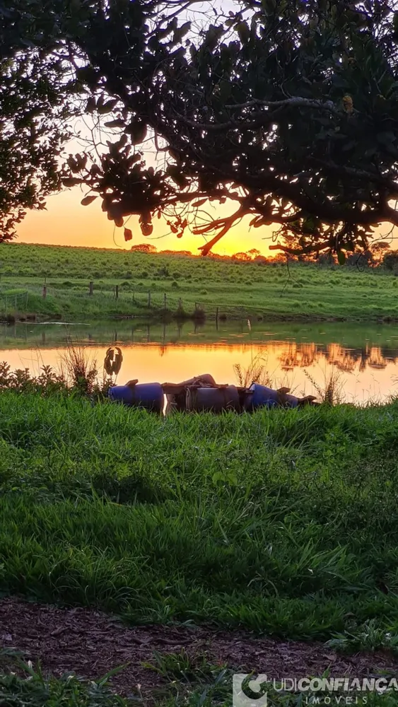 Fazenda - Foto 12