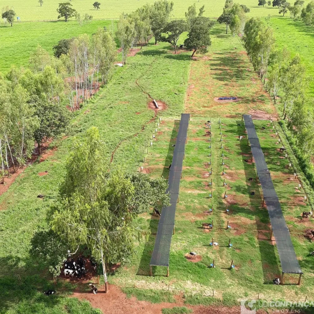 Fazenda - Foto 8