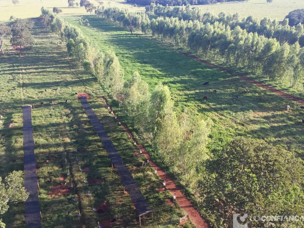 Fazenda - Foto 3