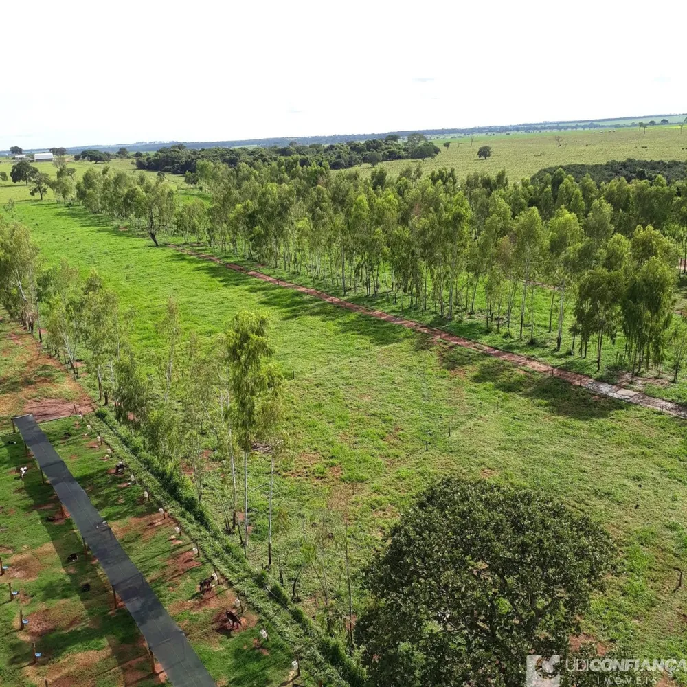 Fazenda - Foto 10