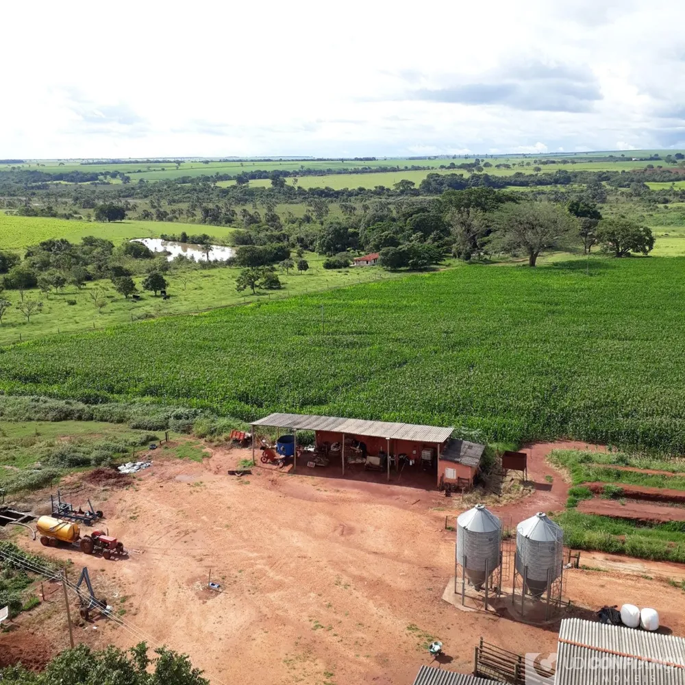 Fazenda - Foto 11