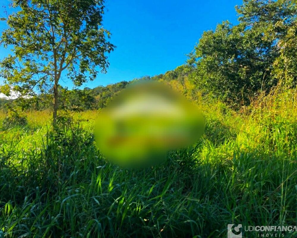 Fazenda - Foto 3