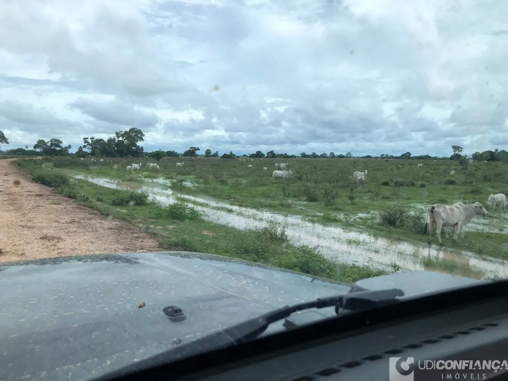 Fazenda - Foto 2