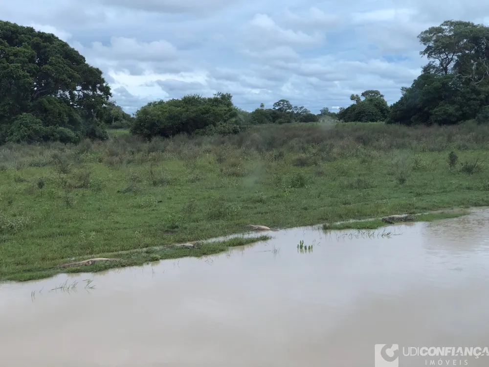 Fazenda - Foto 1