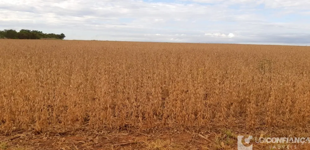 Fazenda - Foto 4