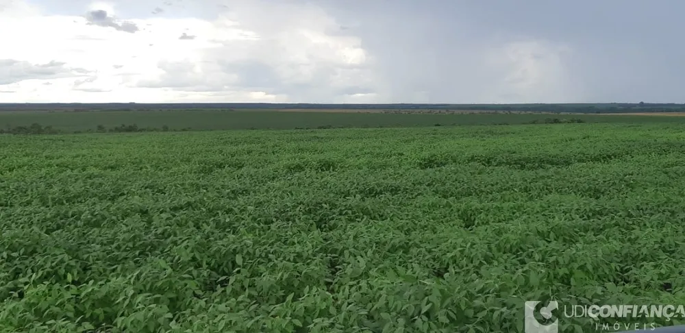 Fazenda - Foto 3