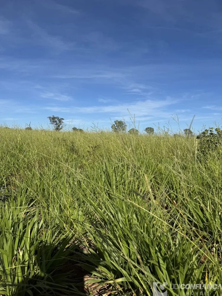 Fazenda - Foto 1