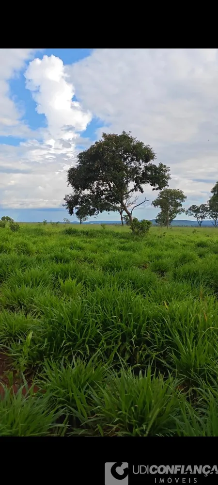 Fazenda - Foto 3