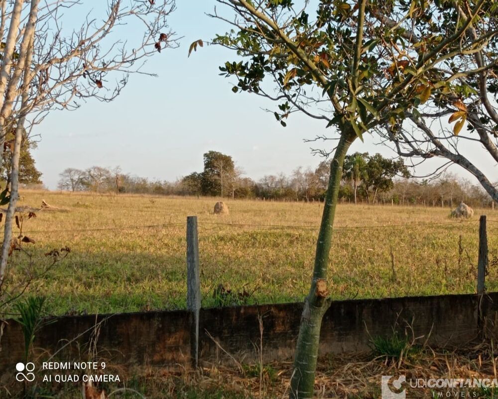 Fazenda à venda - Foto 2