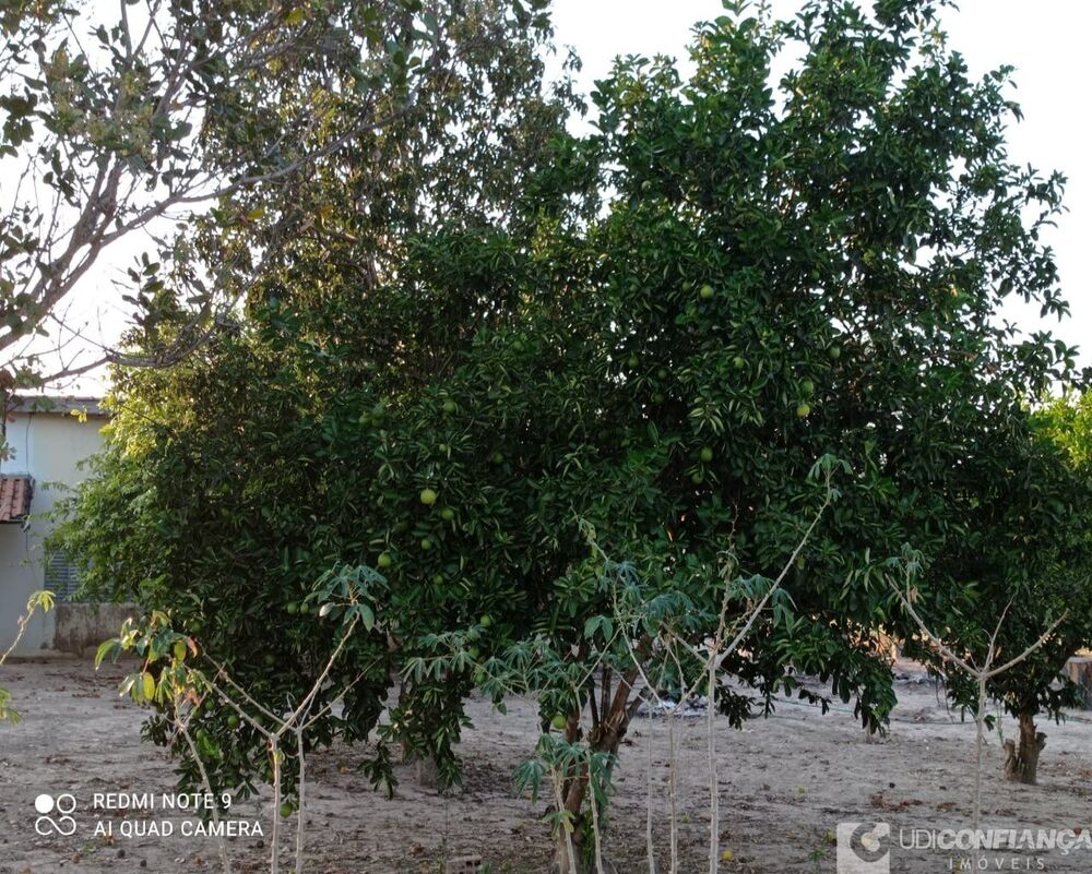 Fazenda à venda - Foto 5