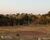 Fazenda - Foto 7