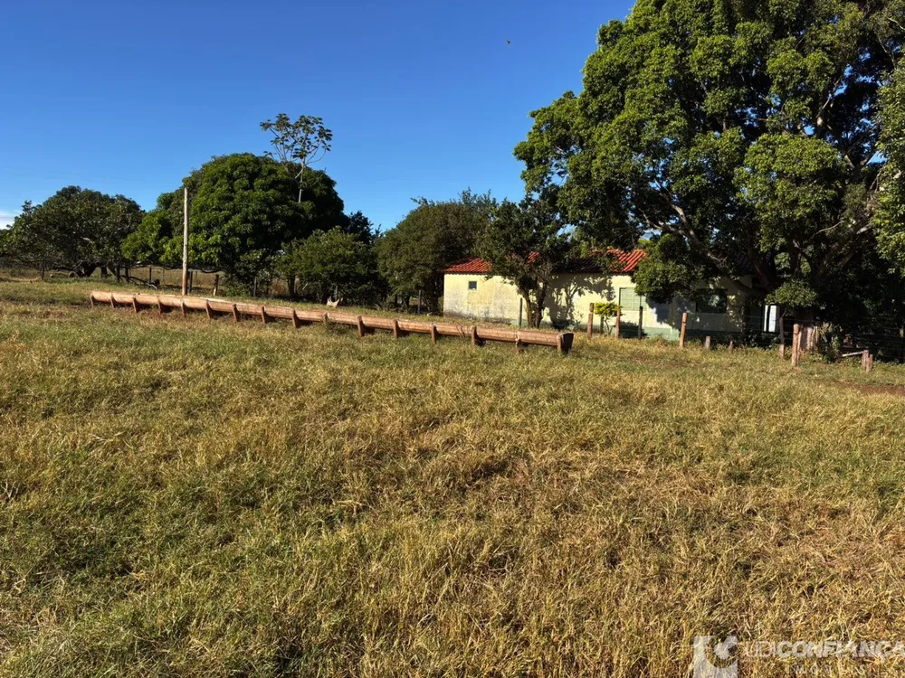 Fazenda - Foto 1