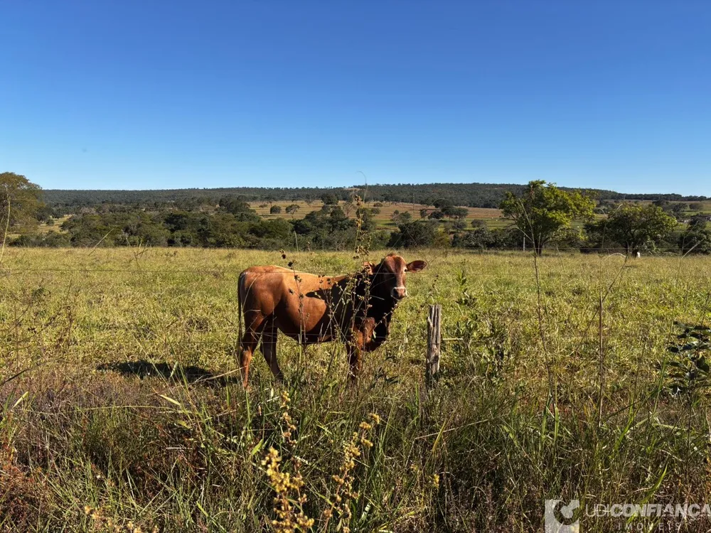 Fazenda - Foto 2