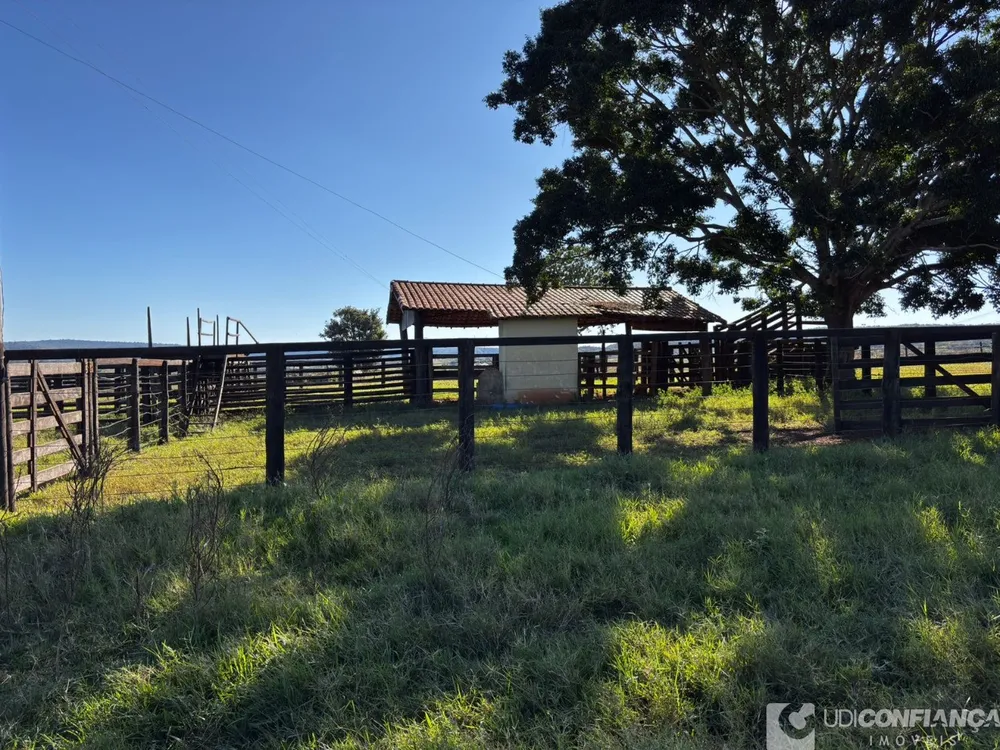 Fazenda - Foto 3