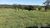 Fazenda - Foto 4