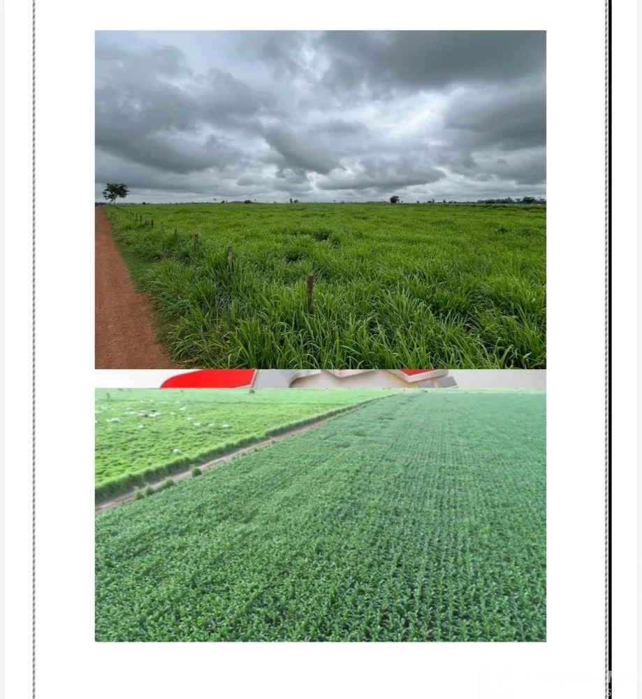 Fazenda - Foto 3