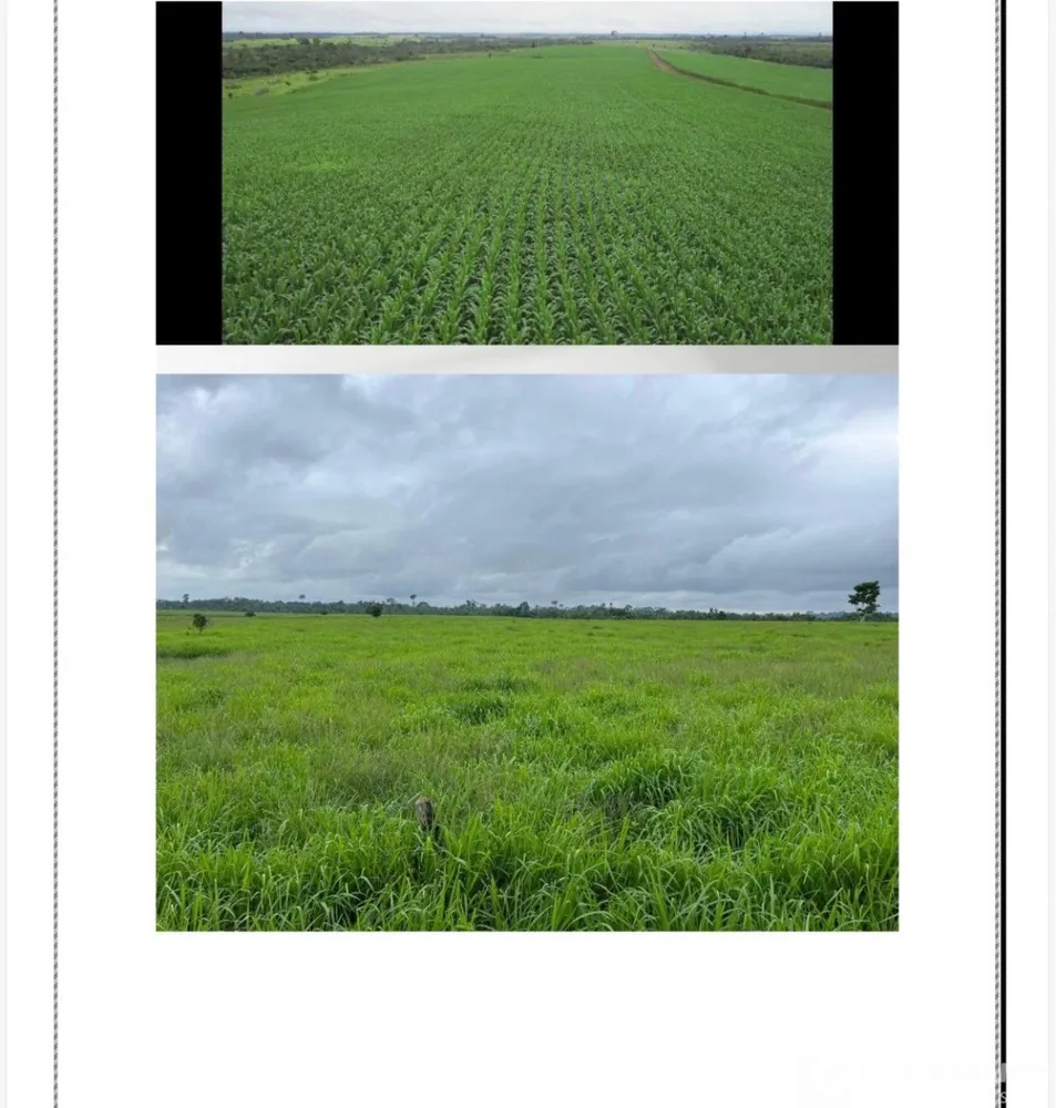 Fazenda - Foto 2