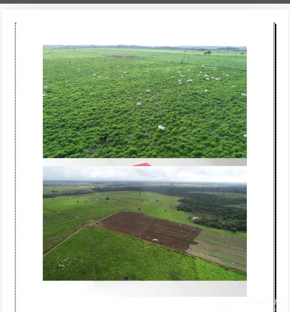 Fazenda - Foto 5