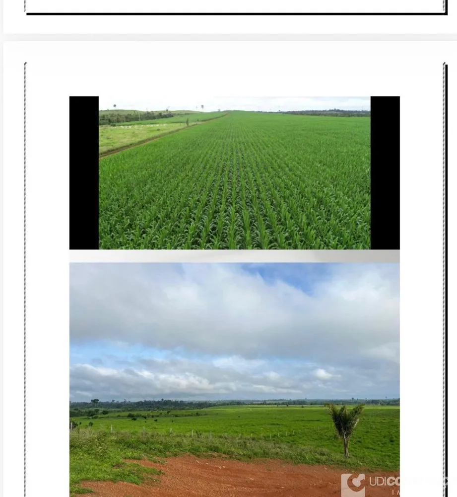 Fazenda - Foto 1