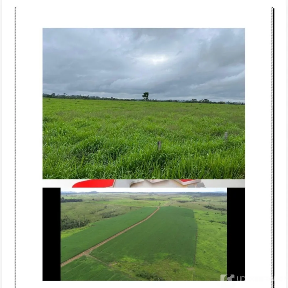 Fazenda - Foto 4