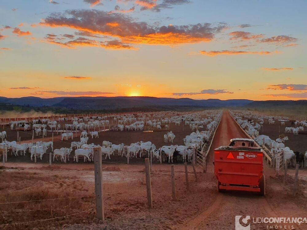 Fazenda à venda - Foto 1