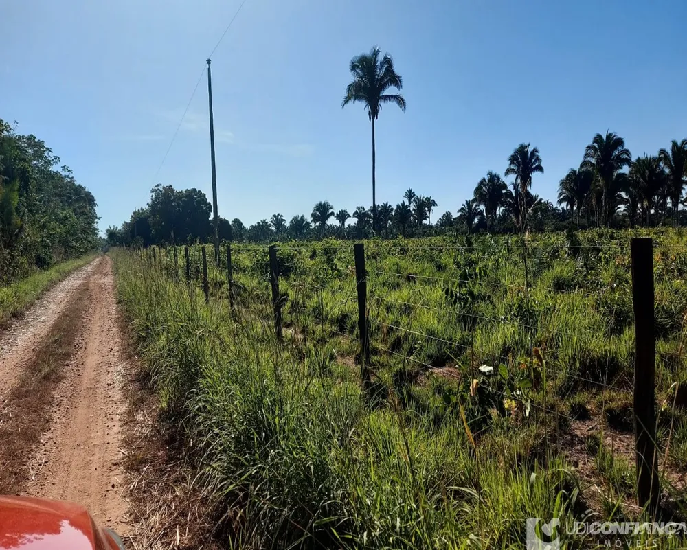 Fazenda - Foto 8