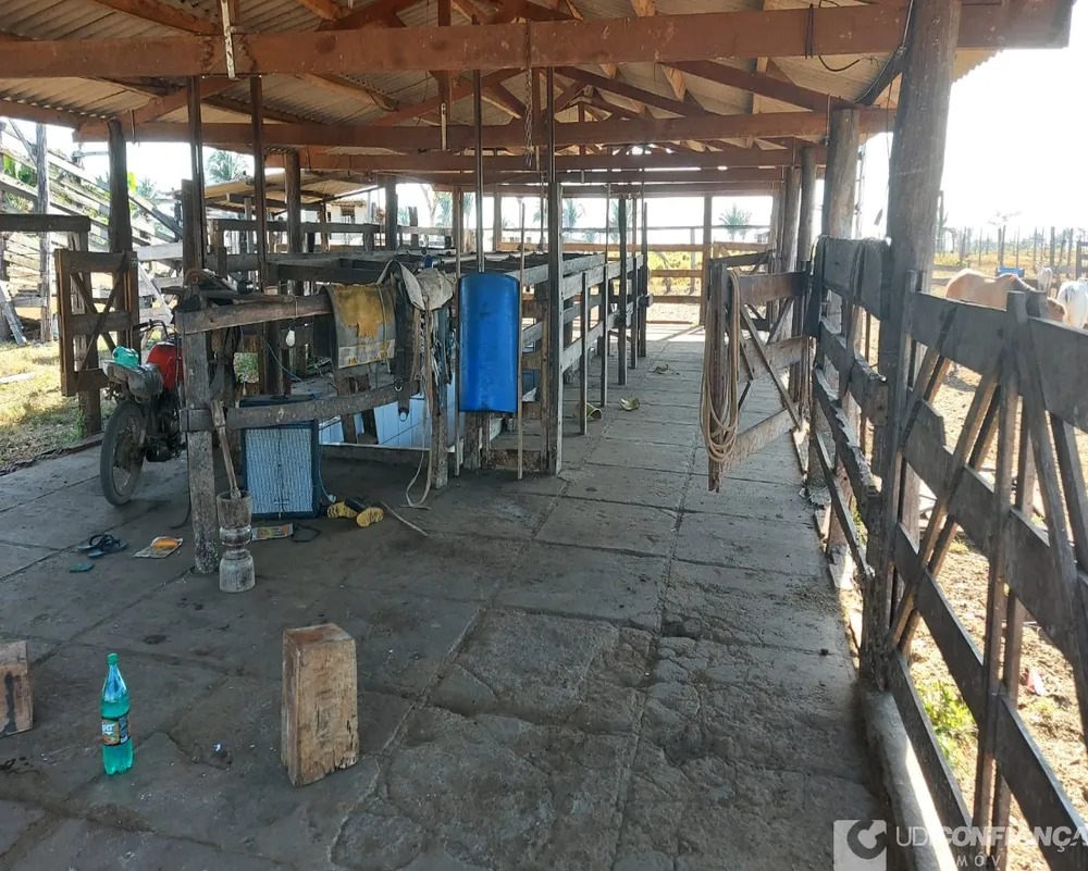 Fazenda - Foto 10