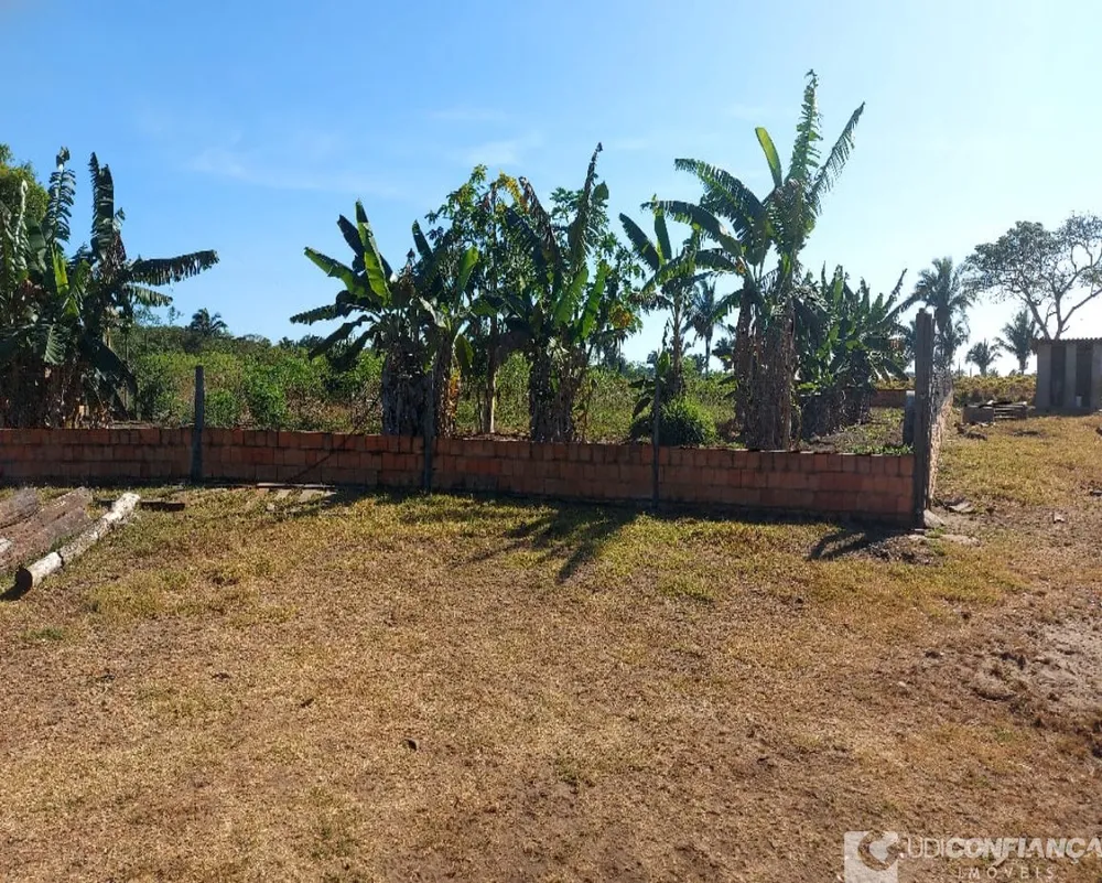 Fazenda - Foto 3
