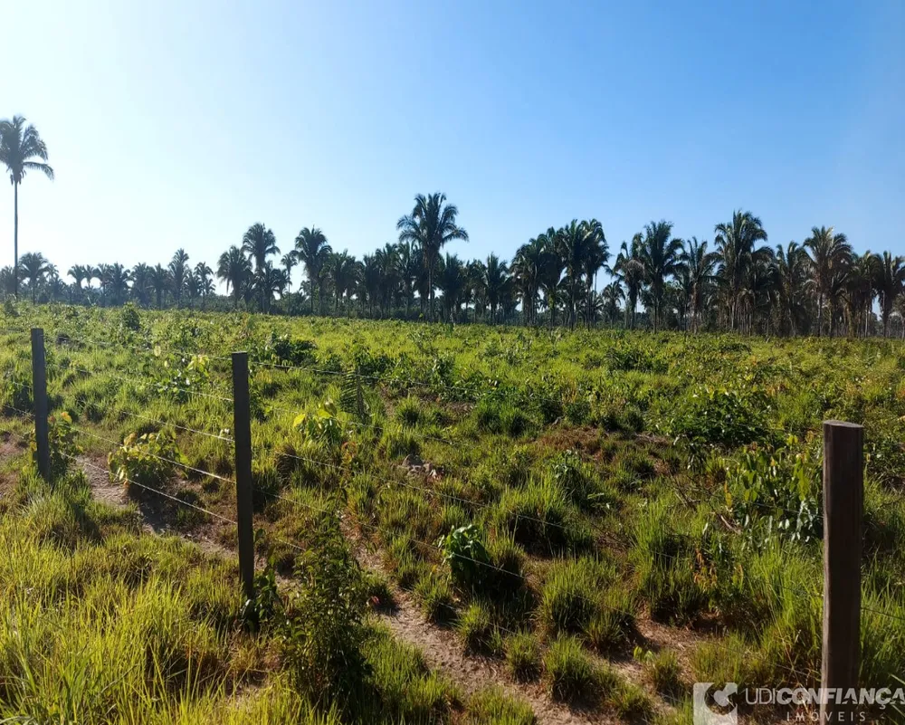 Fazenda - Foto 7
