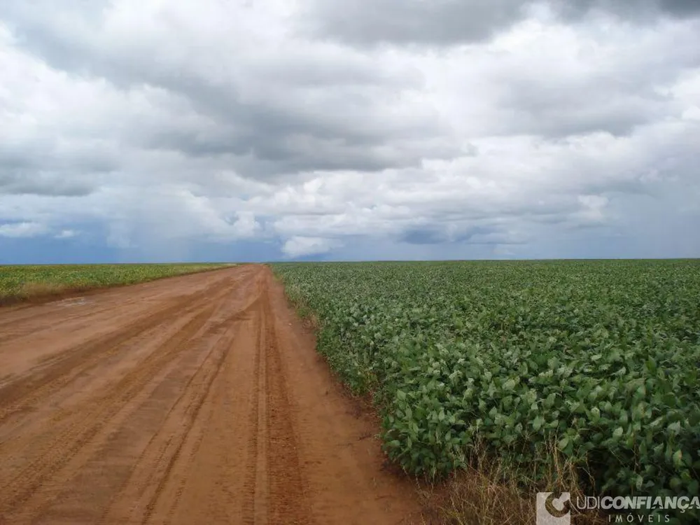 Fazenda - Foto 10