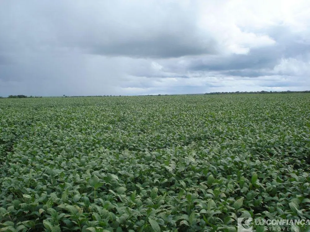 Fazenda - Foto 12