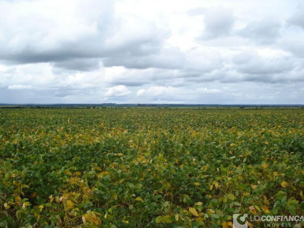 Fazenda - Foto 4