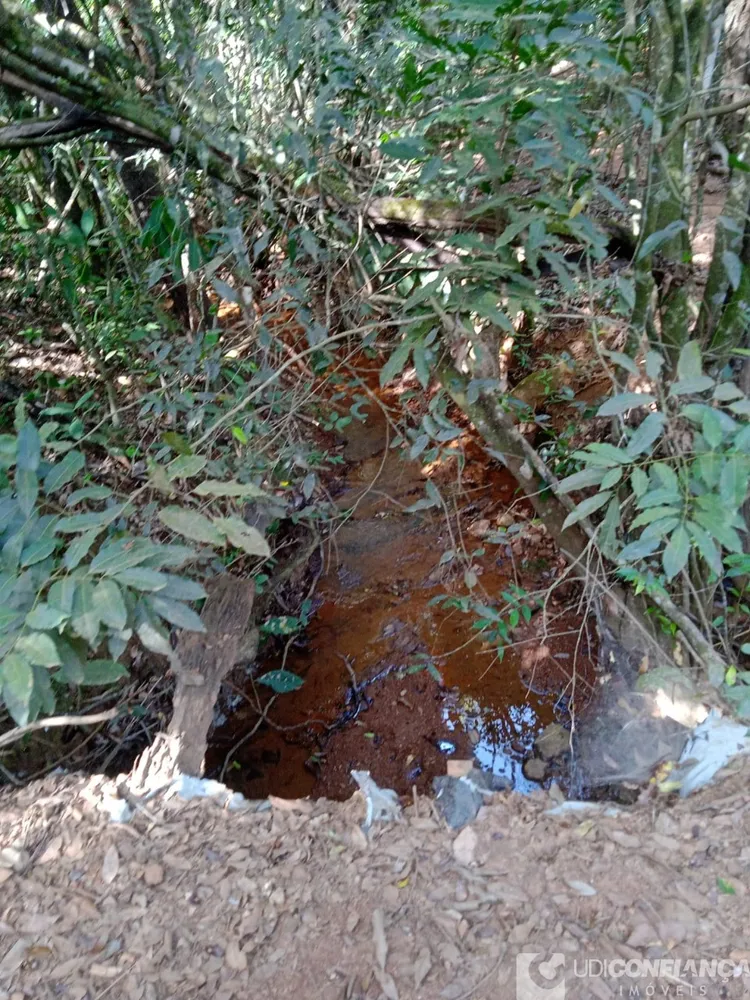 Fazenda - Foto 6