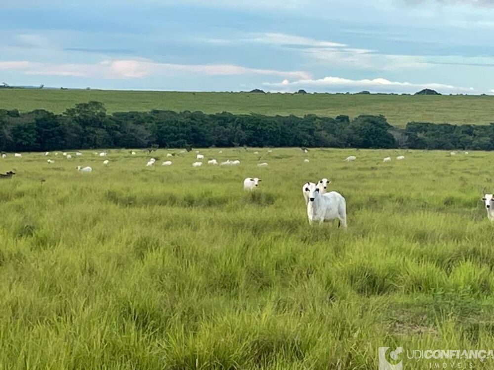 Fazenda - Foto 1