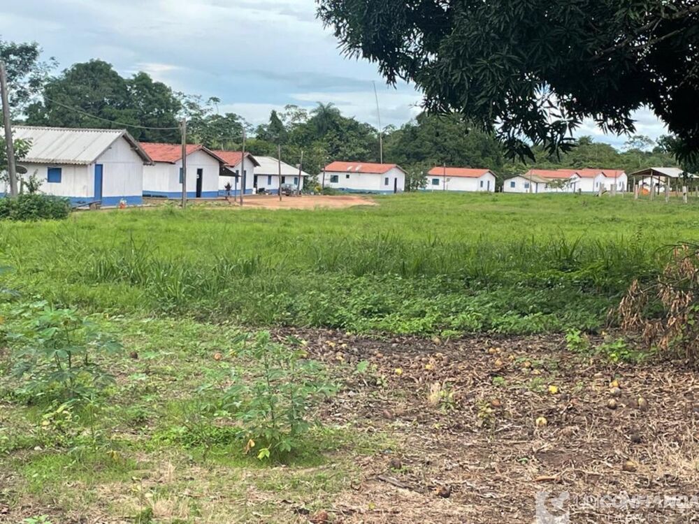 Fazenda - Foto 3